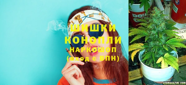 дживик Алексин